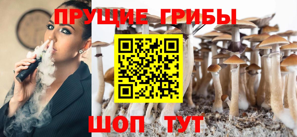 Галлюциногенные грибы Psilocybine cubensis Тольятти