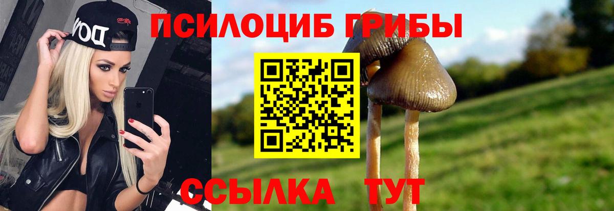 Галлюциногенные грибы GOLDEN TEACHER  Вход с VPN  Псилоцибиновые грибы мухоморы  Тольятти 